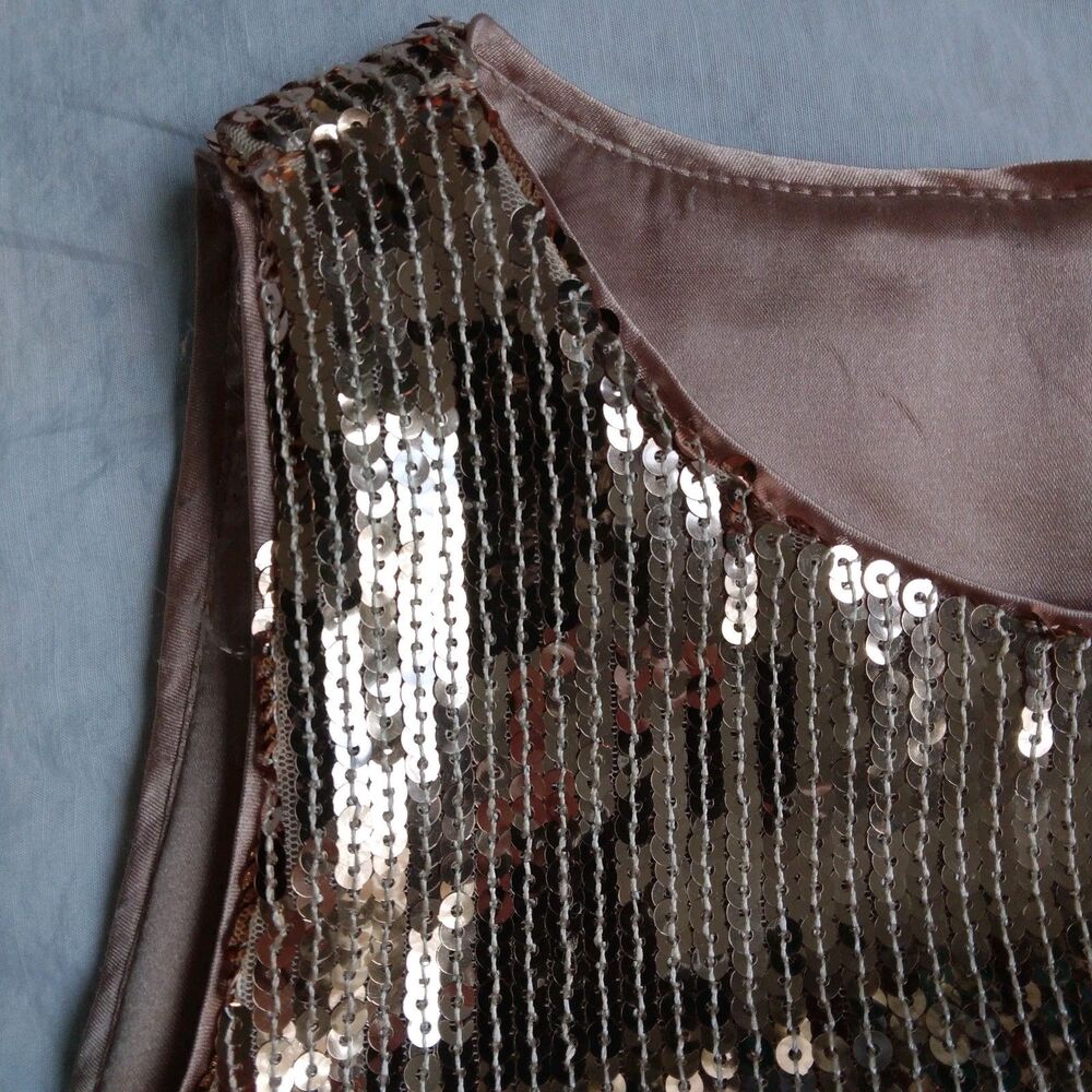 Flapper Dress Lined Champagne Pink 1920s Style Gatsby Sequins Fringe Size 14 - Picture 4 of 11